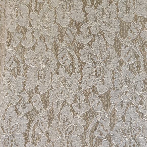Aritzia Babaton Cream Lace Top - Picture 2 of 6